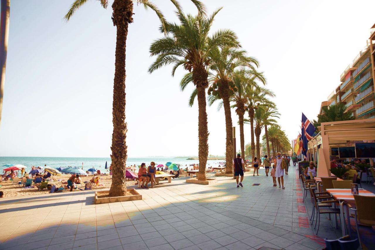 Holiday Studio Jardin Playa Torrevieja Buitenkant foto